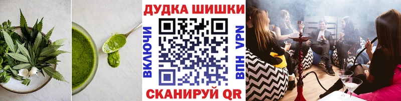 Cannafood конопля  Купить где  Багратионовск 