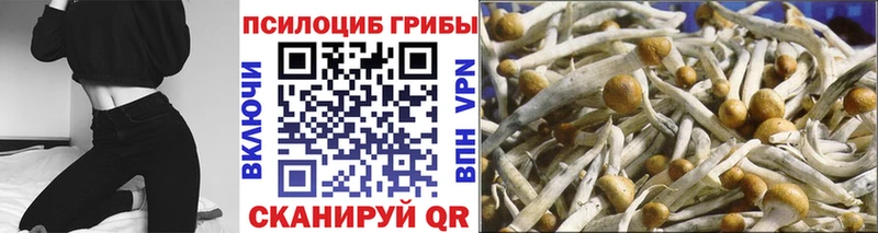 Псилоцибиновые грибы Magic Shrooms  Купить где  Багратионовск 